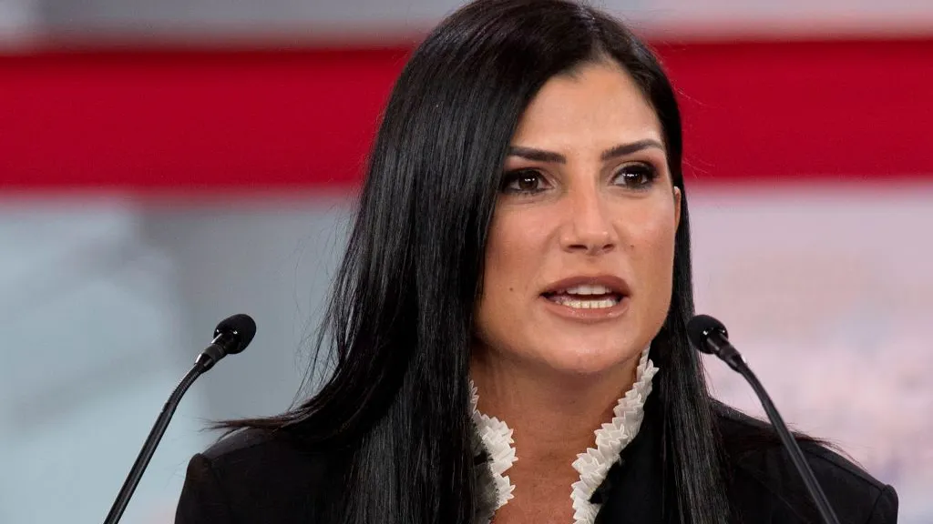 Trump Calls Violent Protesters ‘Terrorists.’ Stelter Mocks Trump. Then Dana Loesch Hammers Stelter.