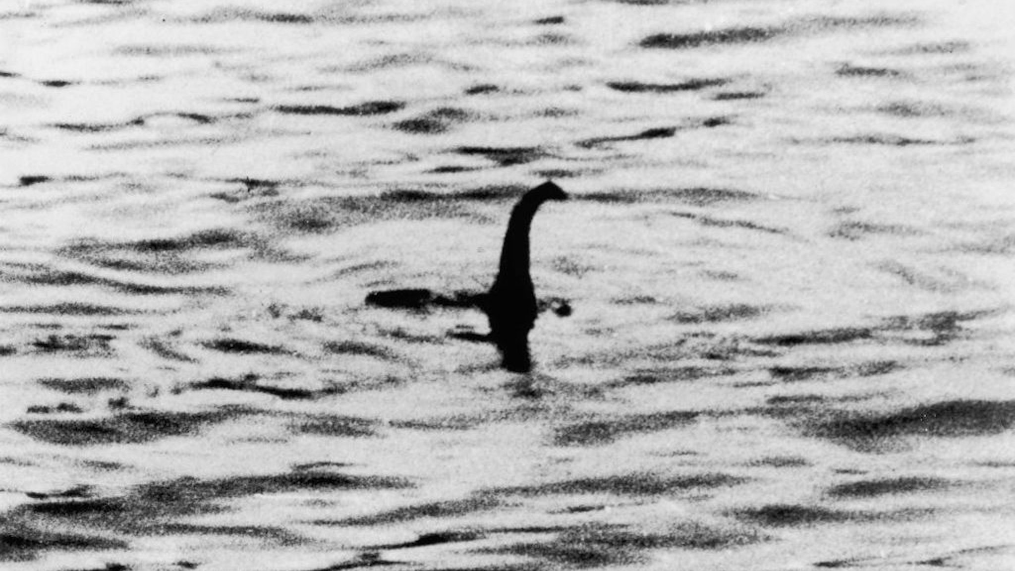 A view of the Loch Ness Monster, near Inverness, Scotland, April 19, 1934. The photograph, one of two pictures known as the 'surgeon's photographs,' was allegedly taken by Colonel Robert Kenneth Wilson, though it was later exposed as a hoax by one of the participants, Chris Spurling, who, on his deathbed, revealed that the pictures were staged by himself, Marmaduke and Ian Wetherell, and Wilson. References to a monster in Loch Ness date back to St. Columba's biography in 565 AD. More than 1,000 people claim to have seen 'Nessie' and the area is, consequently, a popular tourist attraction. (Photo by Keystone/Getty Images)