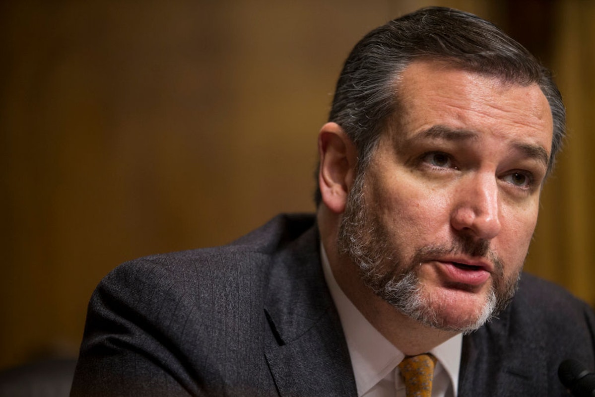 Ted Cruz Warns 'Socialist Abyss' Awaits If Democrats Seize GA Senate Seats