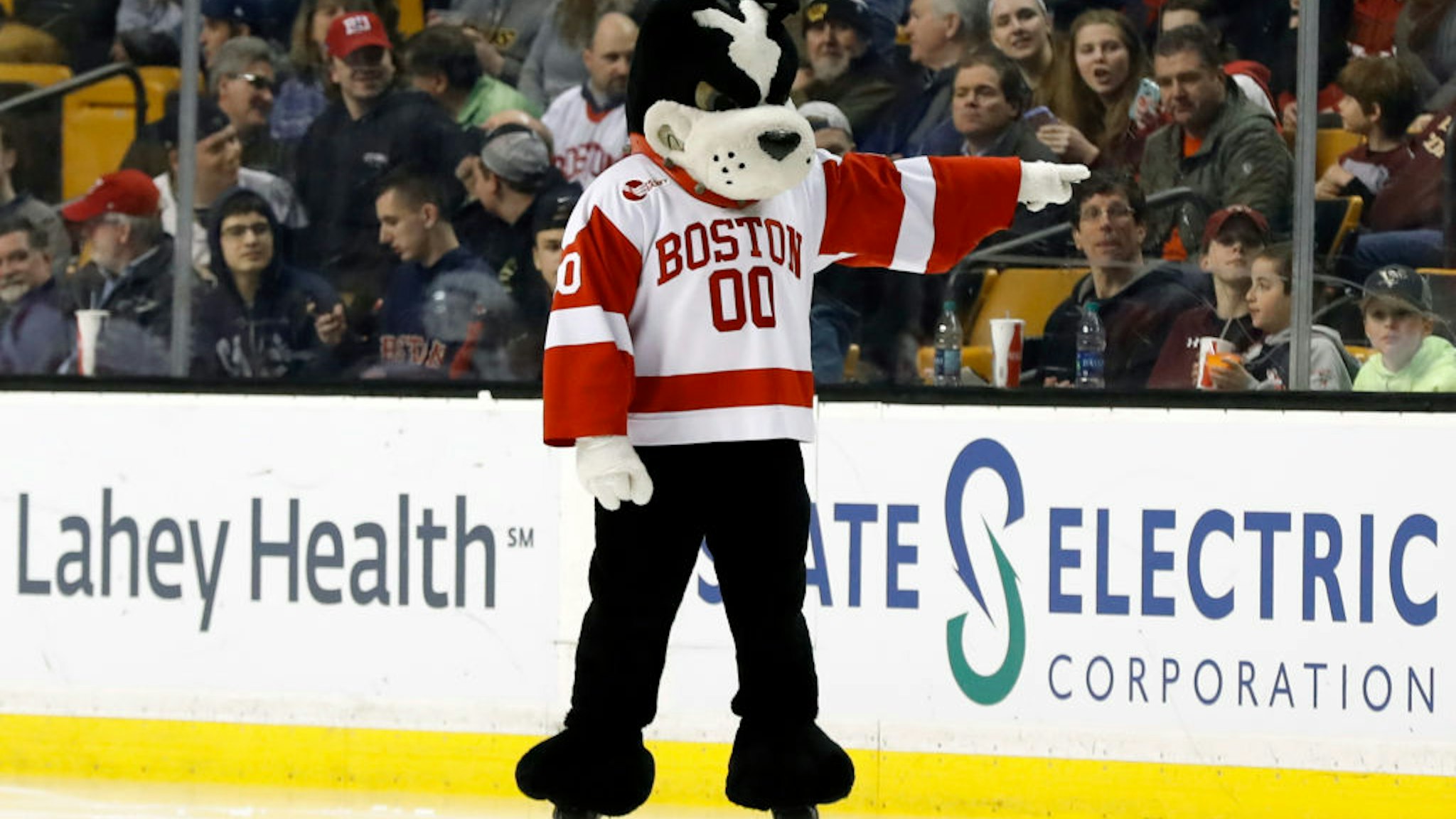 BU mascot Rhett before a Hockey East semifinal between the Boston University Terriers and the Boston College Eagles on March 17, 2017 at TD Garden in Boston, Massachusetts.