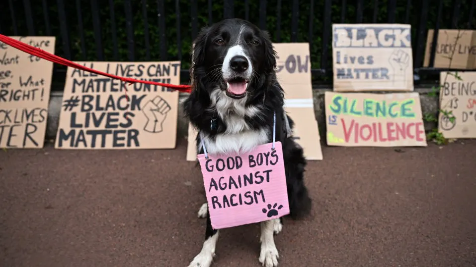 WATCH: Comedian’s Hilarious Video Calling Out Hypocrisy In ‘Woke’ Movement Goes Viral