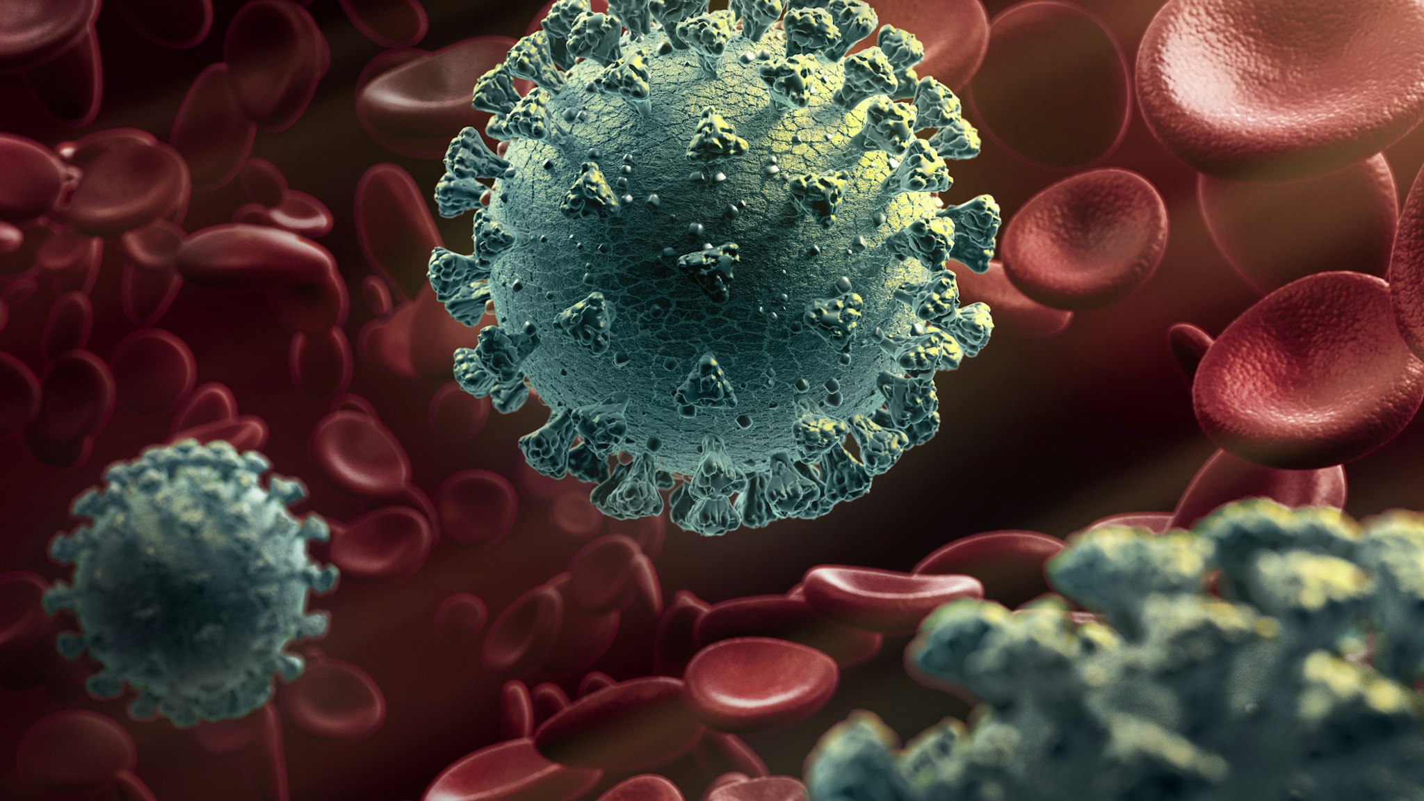 Virus around blood cells