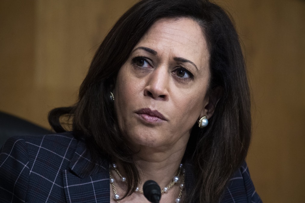 UH-OH: Sanders Supporters Melt Down Over Harris Pick, Dems Admit Harris Wasn't 'First Choice'