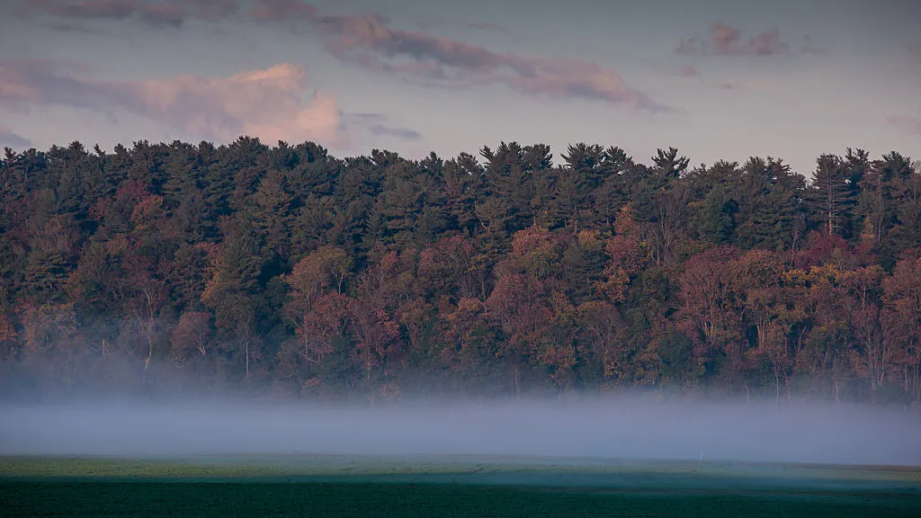 North Carolina County Votes To Support Reparations For Black Residents