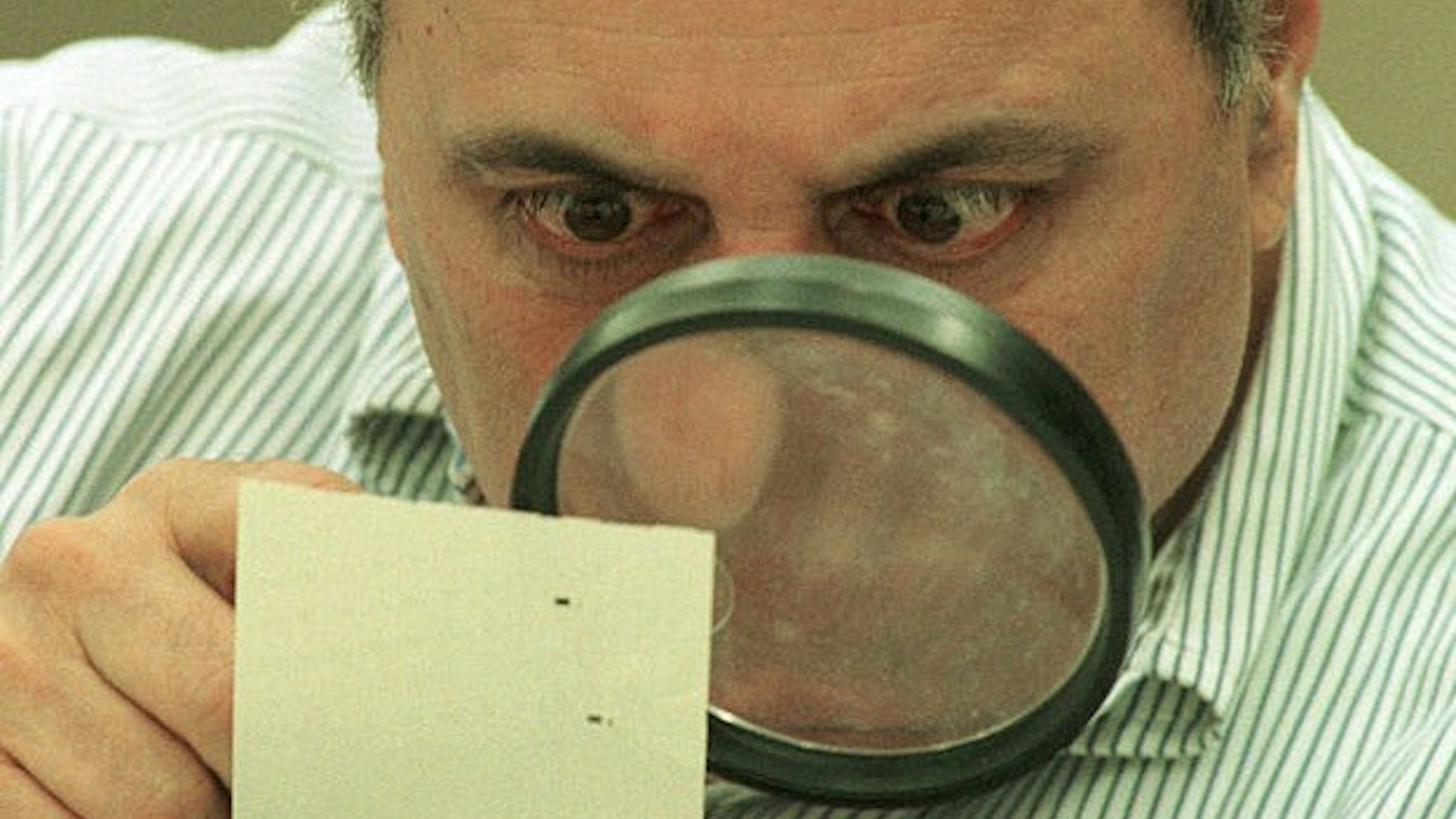 382382 01: Judge Robert Rosenberg of Broward County Canvassing Board uses a magnifying glass to view a dimpled chad on a punch-hole ballot November 24, 2000 during a recount of votes in Fort Lauderdale, Florida. The Broward County Canvassing Board will continue their recount of ballots until the November 26, 2000 deadline set by the Florida State Supreme Court. (Photo by