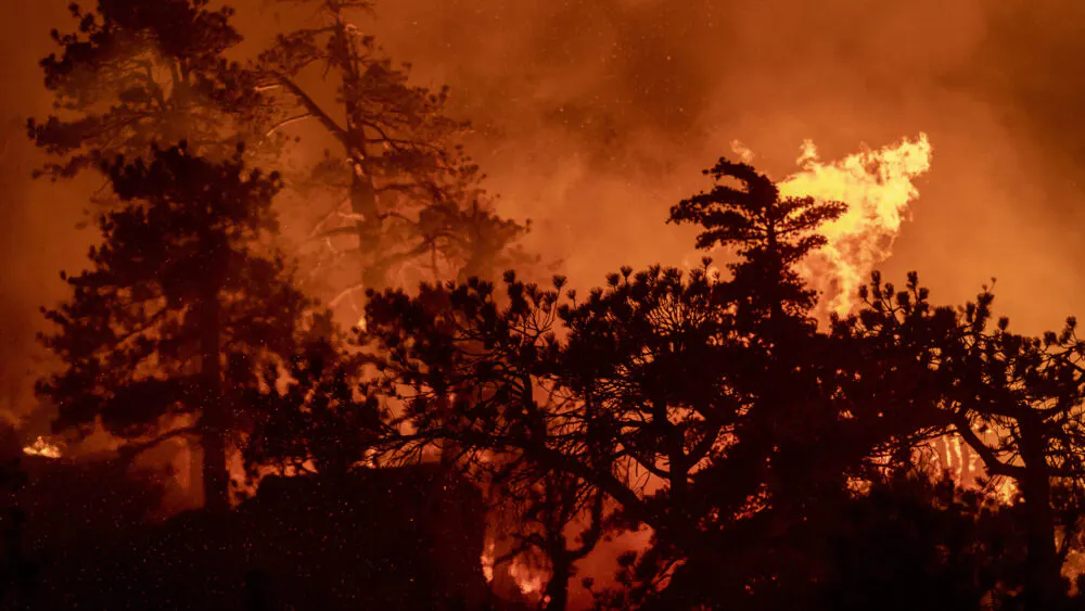 WATCH: Woman Claims To Hold Suspected Arsonist At Gunpoint As Wildfires Rage