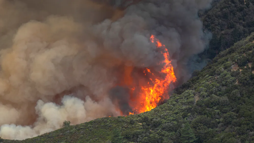 Man Arrested For Starting Wildfire With Molotov Cocktail, Gets Released From Jail, Starts 6 More Fires: Police