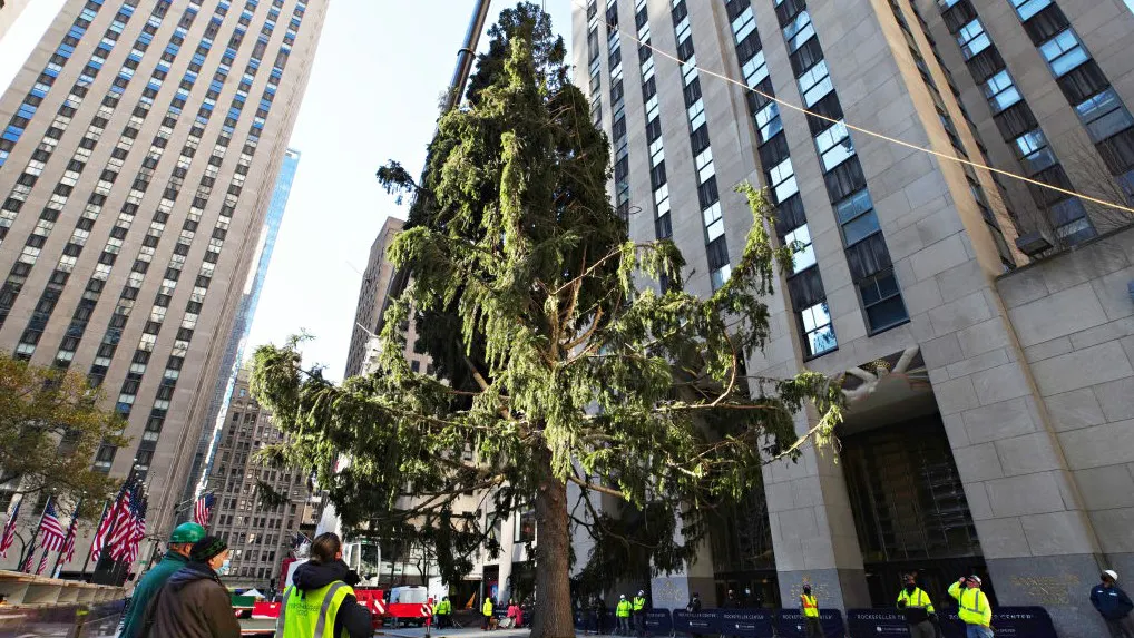 Pathetic Rockefeller Plaza Christmas Tree ‘On Brand’ For 2020