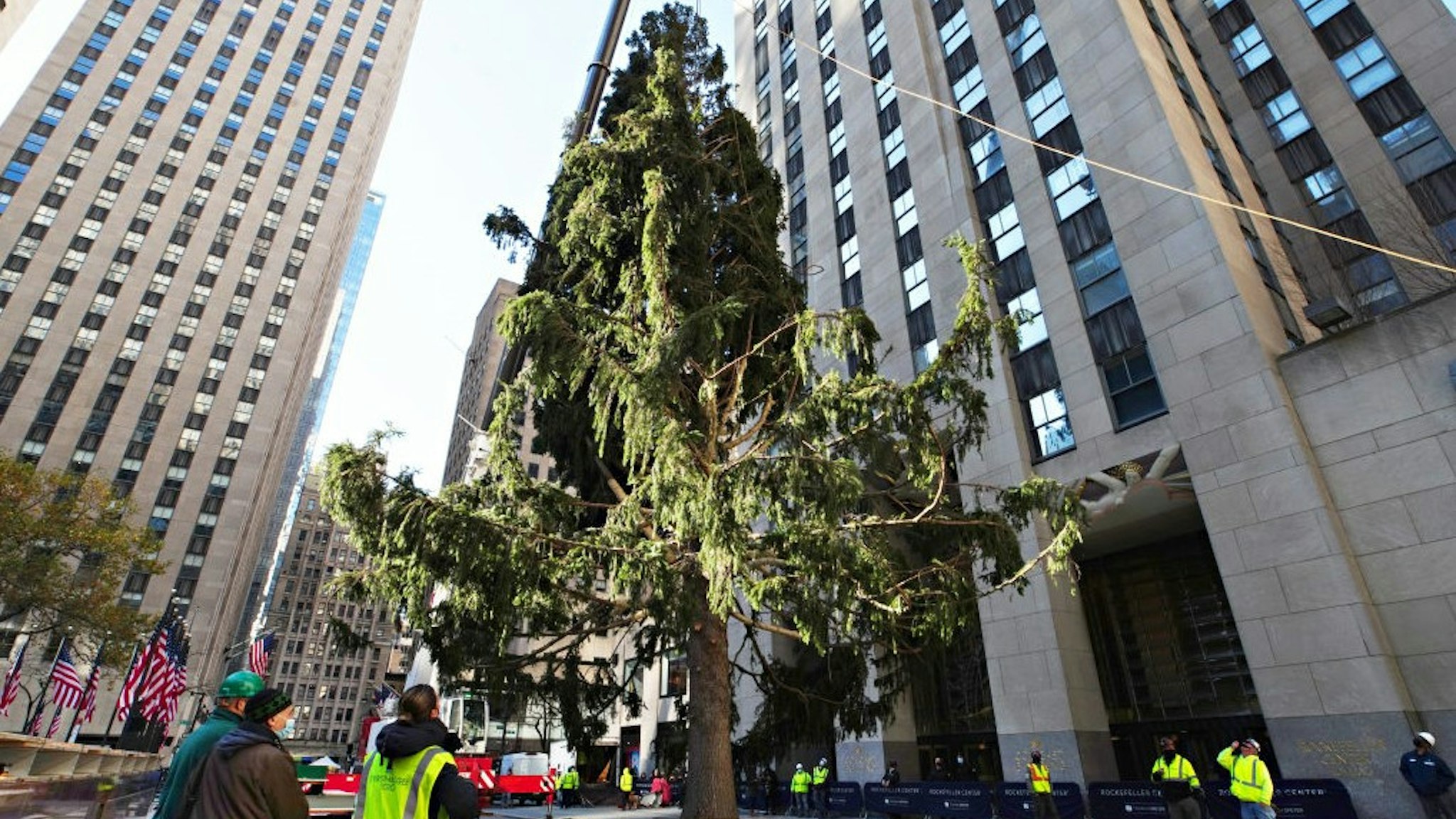 NEW YORK, NEW YORK - NOVEMBER 14: The Rockefeller Center Christmas Tree arrives at Rockefeller Plaza and is craned into place on November 14, 2020 in New York City. (Photo by