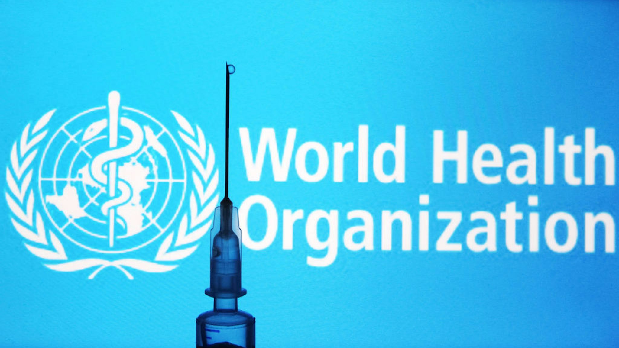 In this photo illustration a medical syringe seen in front of the World Health Organization (WHO) logo.