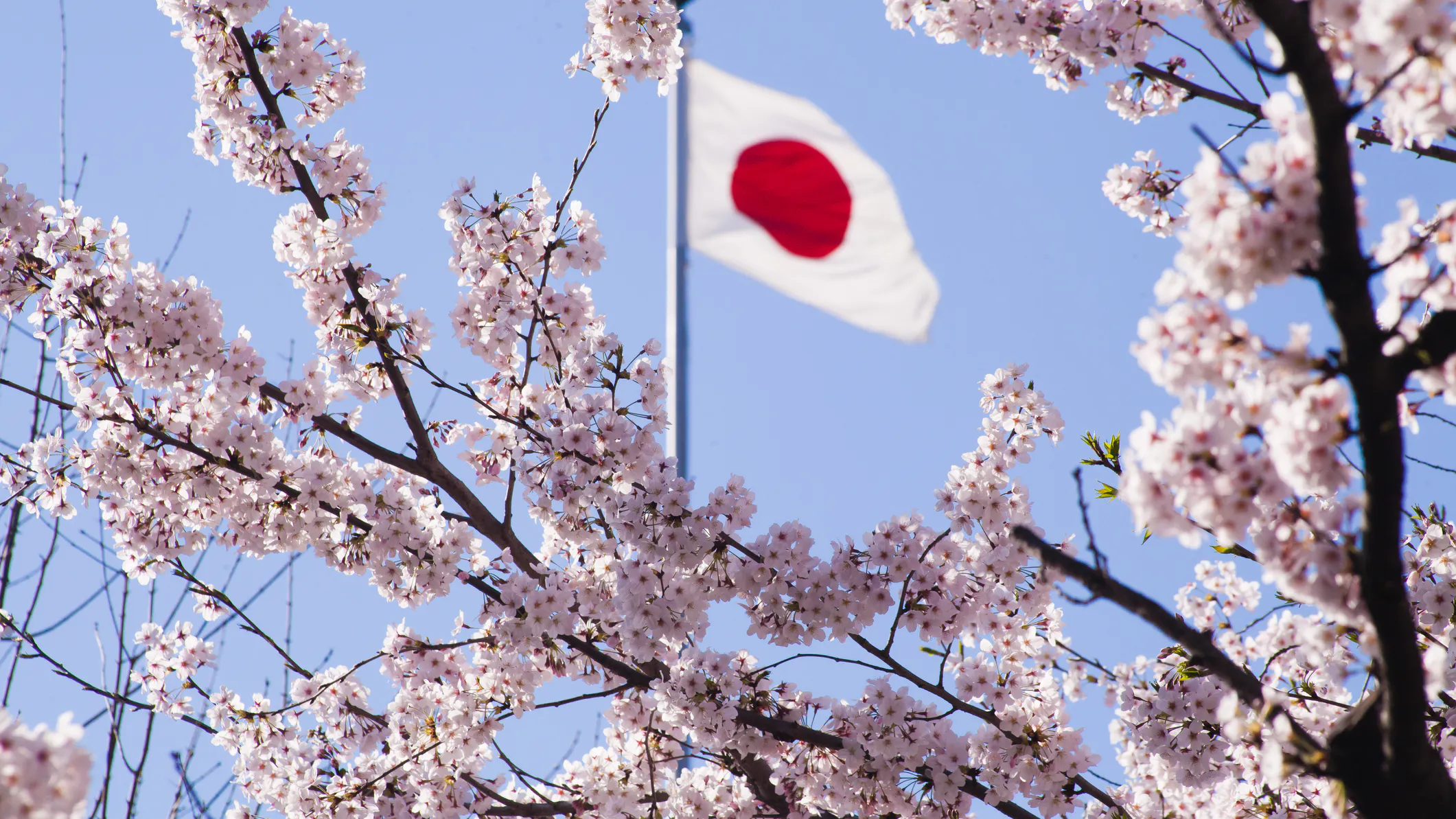 Japan Shuts Border To Foreign Nationals Amid New COVID-19 Strain