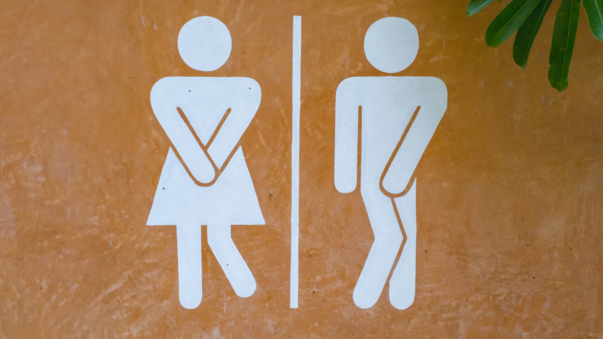 Virginia’s New Transgender Rules For Public Schools: Use Preferred Pronouns, Don’t Question Bathroom Choices