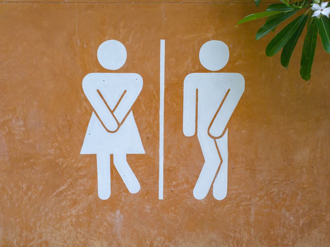 Virginia’s New Transgender Rules For Public Schools: Use Preferred Pronouns, Don’t Question Bathroom Choices