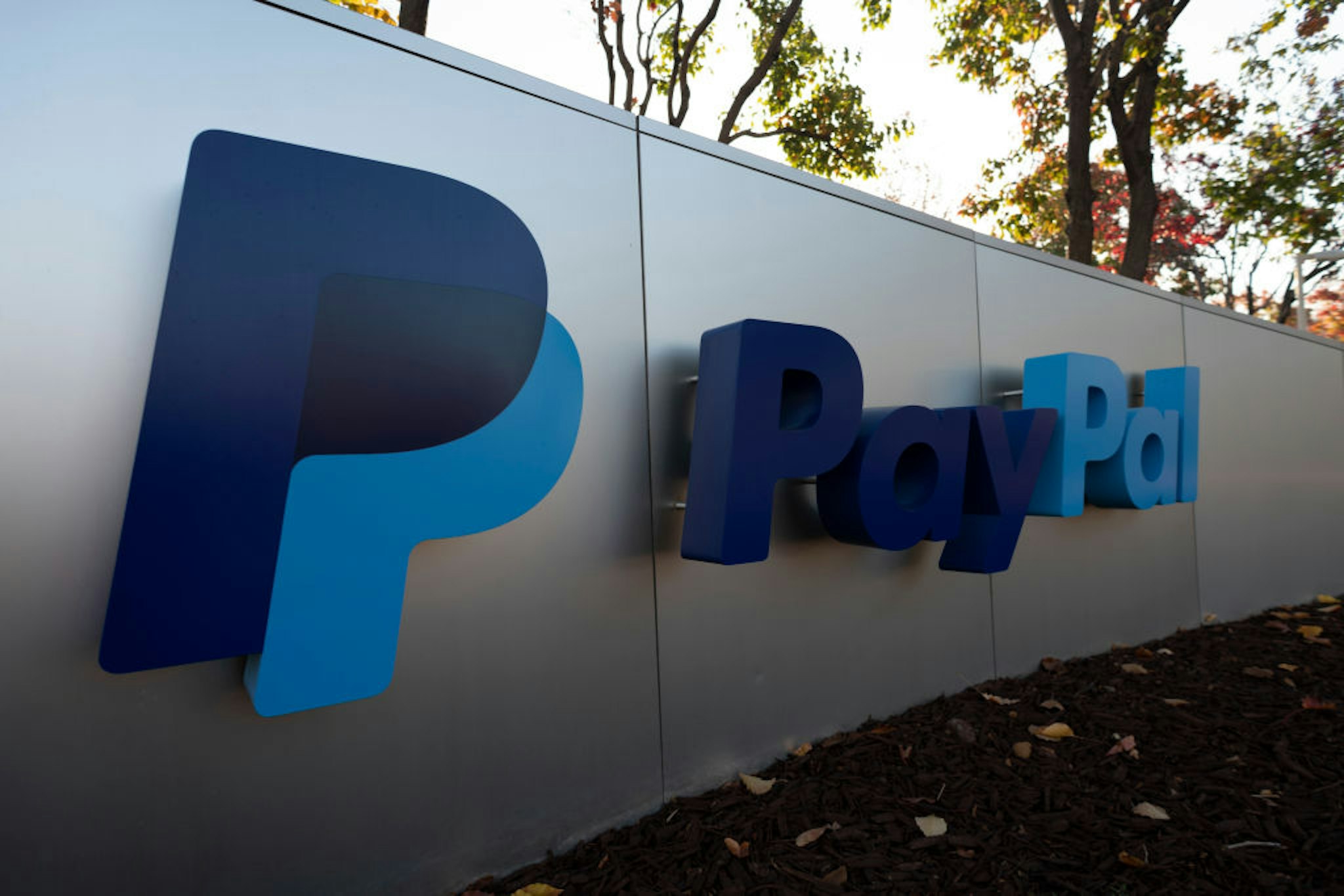 PayPal logo can be seen at its office in San Jose, California, United States on November 23, 2019. PayPal has agreed to acquire Honey Science Corporation, a rapidly-growing technology platform for shopping and rewards, for approximately $4 billion. (Photo by Yichuan Cao/NurPhoto via Getty Images)