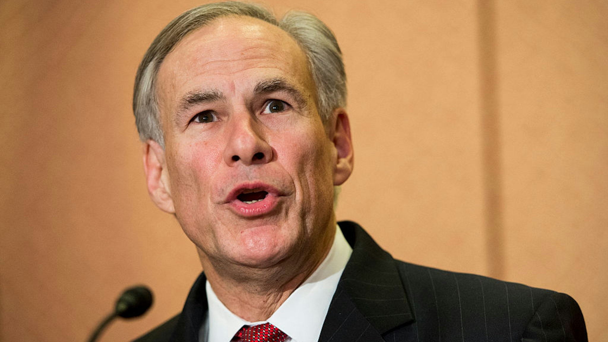 Gov. Greg Abbott, R-Texas, holds a news conference with Sen. Ted Cruz, R-Texas, (not pictured) in the U.S. Capitol to discuss Syrian refugee legislation on Tuesday, Dec. 8, 2015.