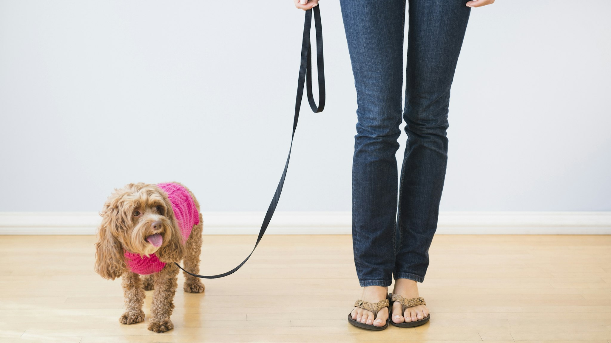 Woman holding dog on leash