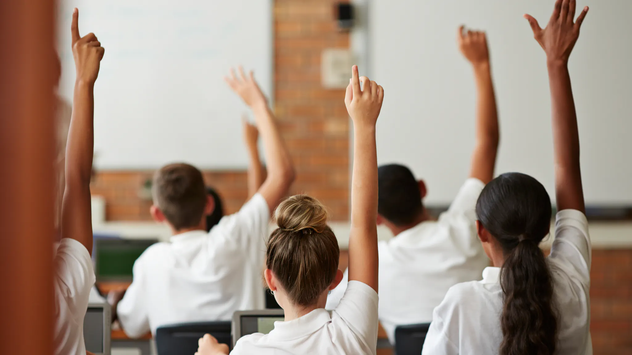 School students with raised hands, back view elementary school class
