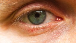 Human eye close-up eye