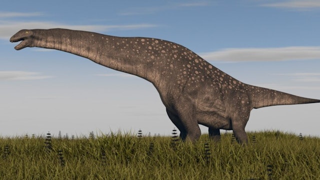 Titanosaurus standing in swamp grassland.