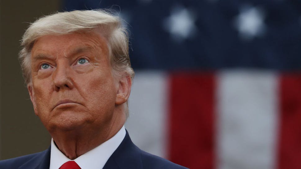 Donald Trump WASHINGTON, DC - NOVEMBER 13: U.S. President Donald Trump speaks about Operation Warp Speed in the Rose Garden at the White House on November 13, 2020 in Washington, DC. The is the first time President Trump has spoken since election night last week, as COVID-19 infections surge in the United States. (Photo by Tasos Katopodis/Getty Images)