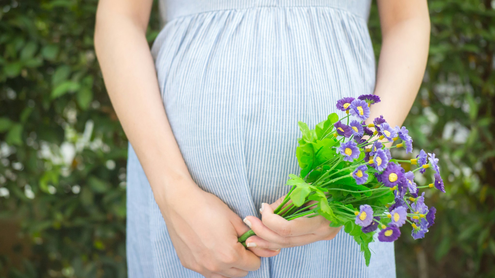Midsection Of Pregnant Woman Holding Artificial Purple Flowers At Park - stock photo
