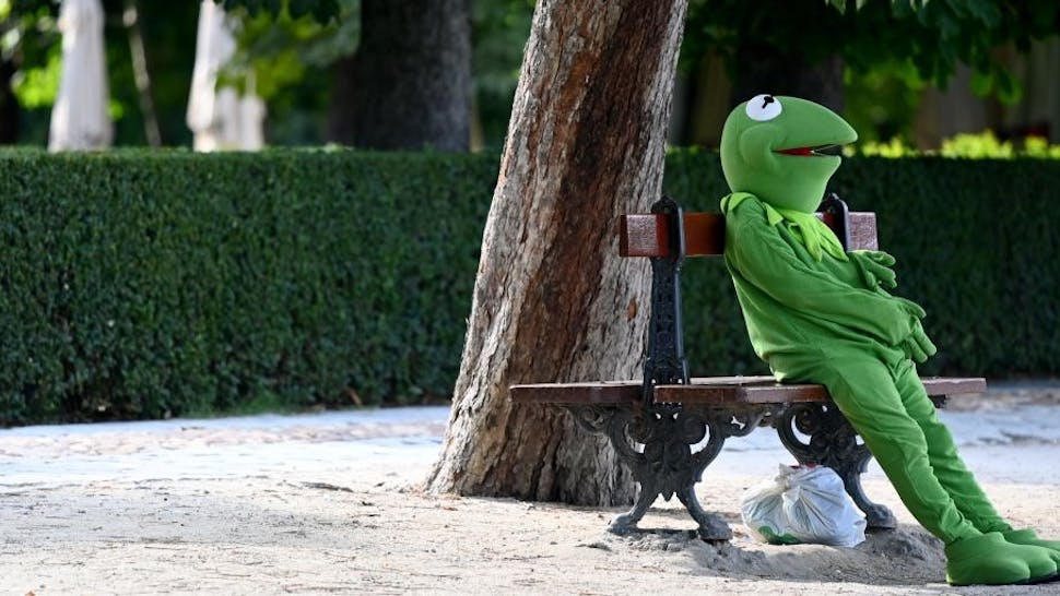 A man dressed as the Muppets show character Kermit the Frog waits for a tip at the Retiro Park in Madrid, on July 01, 2020. (Photo by Gabriel BOUYS / AFP) (Photo by