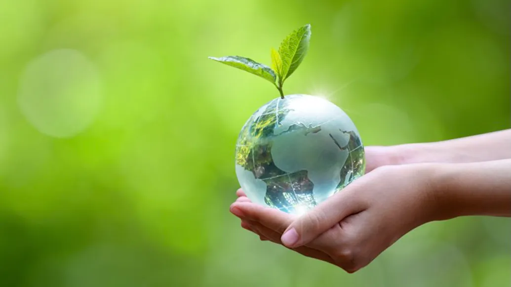 Goldman Sachs Commits To Reach Net-Zero Carbon Emissions By 2030