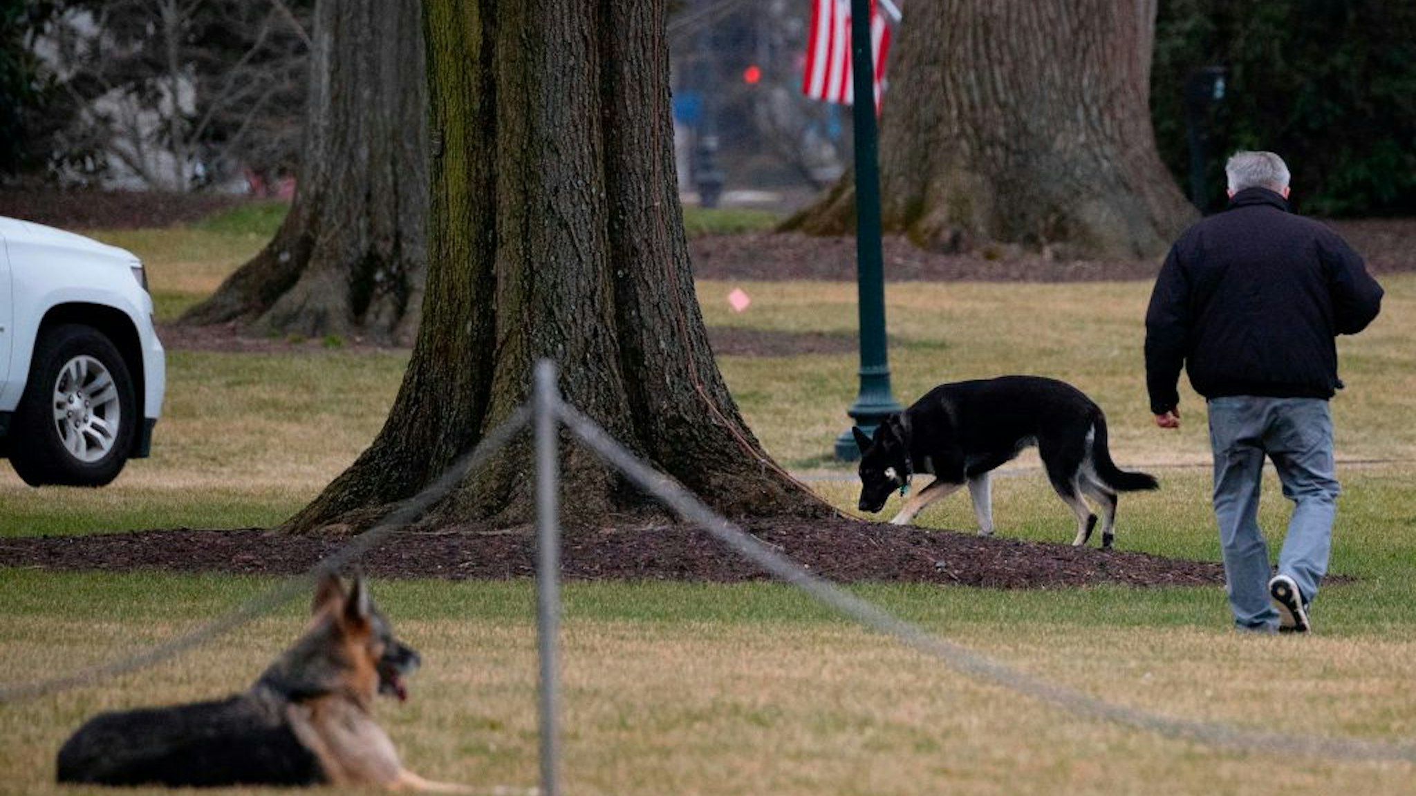 First dogs Champ and Major Biden are seen on the South Lawn of the White House in Washington, DC, on January 25, 2021. - Joe Biden's dogs Champ and Major have moved into the White House, reviving a long-standing tradition of presidential pets that was broken under Donald Trump. The pooches can be seen trotting on the White House grounds in pictures retweeted by First Lady Jill Biden's spokesman Michael LaRosa, with the pointed obelisk of the Washington Monument in the background."Champ is enjoying his new dog bed by the fireplace, and Major loved running around on the South Lawn," LaRosa told CNN in a statement on January 25, 2021.