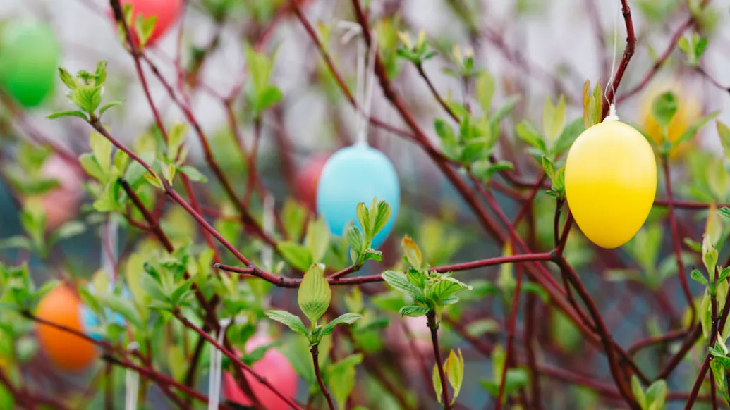 Texas Student Activists Enraged At Conservative Group For Putting Bible Verses In Easter Eggs