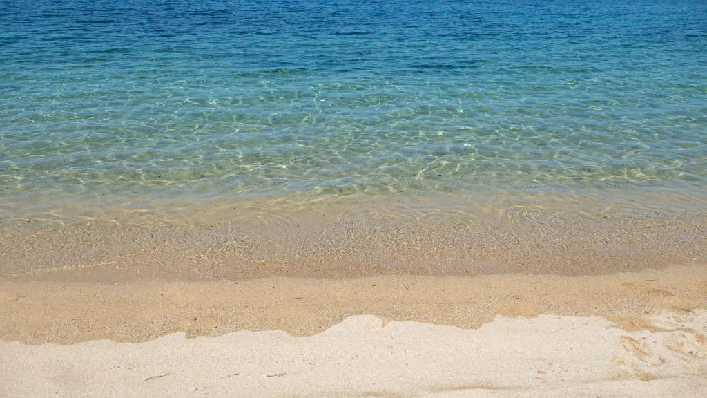 Private LA Teachers Union Facebook Group Warns Members Not To Post Vacation Photos Because Of ‘Optics’