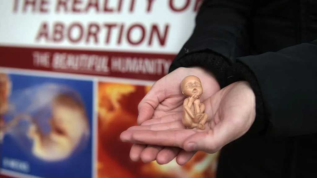 ‘All Lives Matter’: Arkansas Gov. Signs Near-Total Abortion Ban That Supporters Hope Will Force SCOTUS To Revisit Roe v. Wade