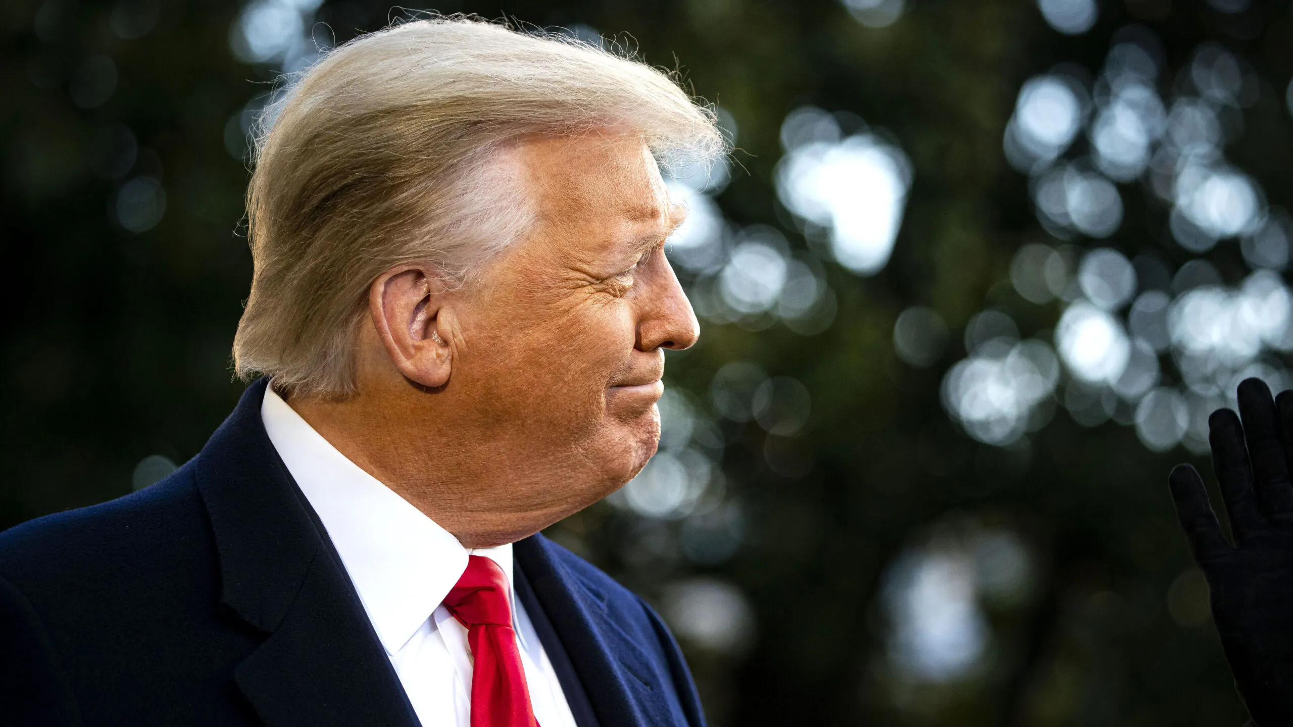 Trump To Launch New Social Media Platform In Next Couple Of Months After Meetings With Companies: Report