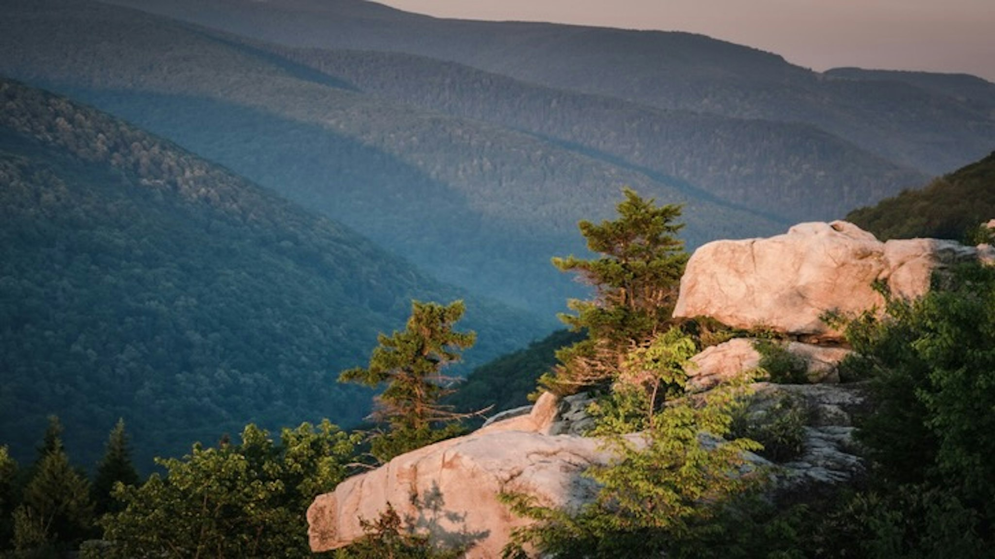 Mountains of West Virginia - stock photo Mountains of West Virginia in Dolly Sods Wilderness