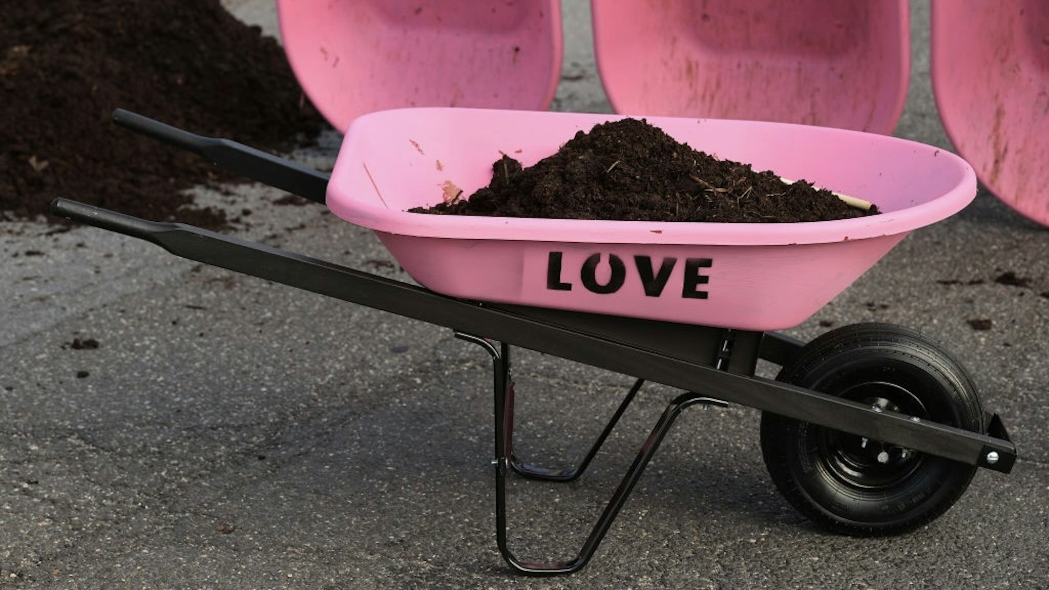 WASHINGTON, DC - APRIL 22: Activists use shovels and wheelbarrows to pile manure on the street outside the White House while protesting against President Joe Biden's climate change policy on Earth Day, April 22, 2021 in Washington, DC. Organized by the Extinction Rebellion DC, protesters used bright pink wheelbarrows to dump heaps of cow manure at the intersection of New York Avenue and 17th Street NW on the west side of the White House campus. Despite the White House hosting a virtual Leaders Summit on Climate on Earth Day, the activists said Biden is "punting the crisis to future generations." (Photo by Chip Somodevilla/Getty Images)