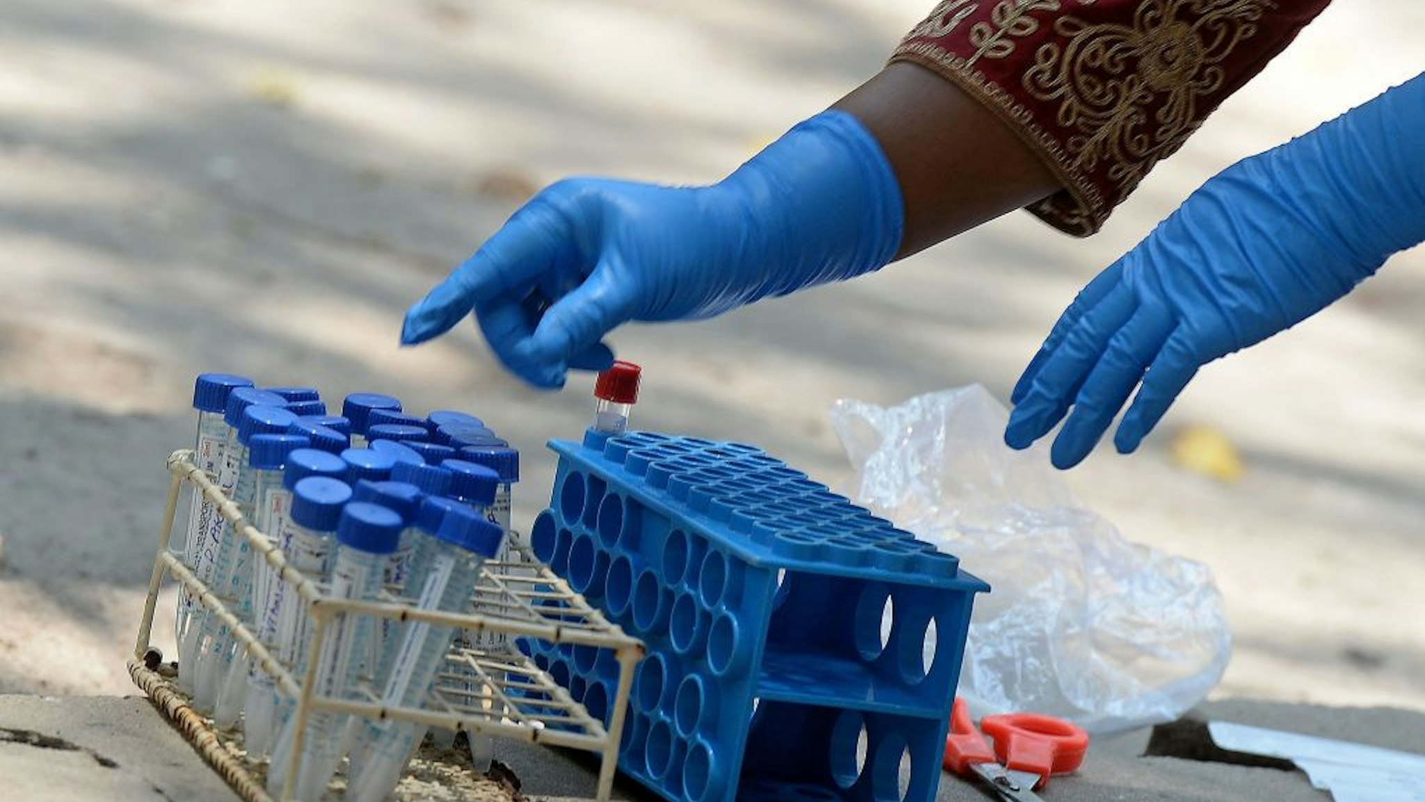 A medical worker arranges swab samples from the Reverse Transcription Polymerase Chain Reaction (RT-PCR) tests conducted for the Covid-19 coronavirus screening at a testing centre in Hyderabad on April 29, 2021. (Photo by NOAH SEELAM / AFP) (Photo by NOAH SEELAM/AFP via Getty Images)