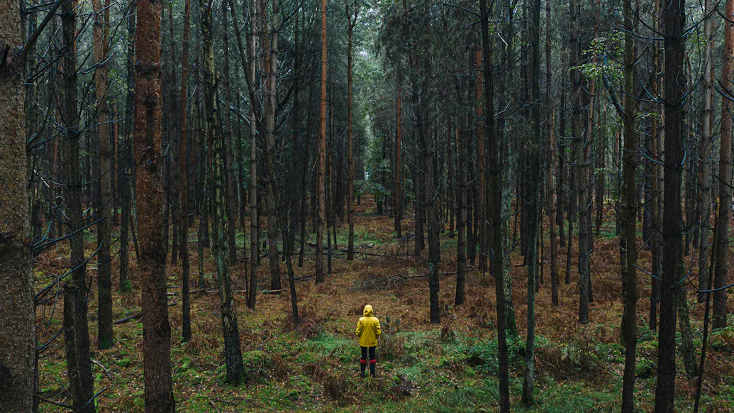 She Said She Was Lured To A Wooded Area And Raped. Police Determined It Didn’t Happen.