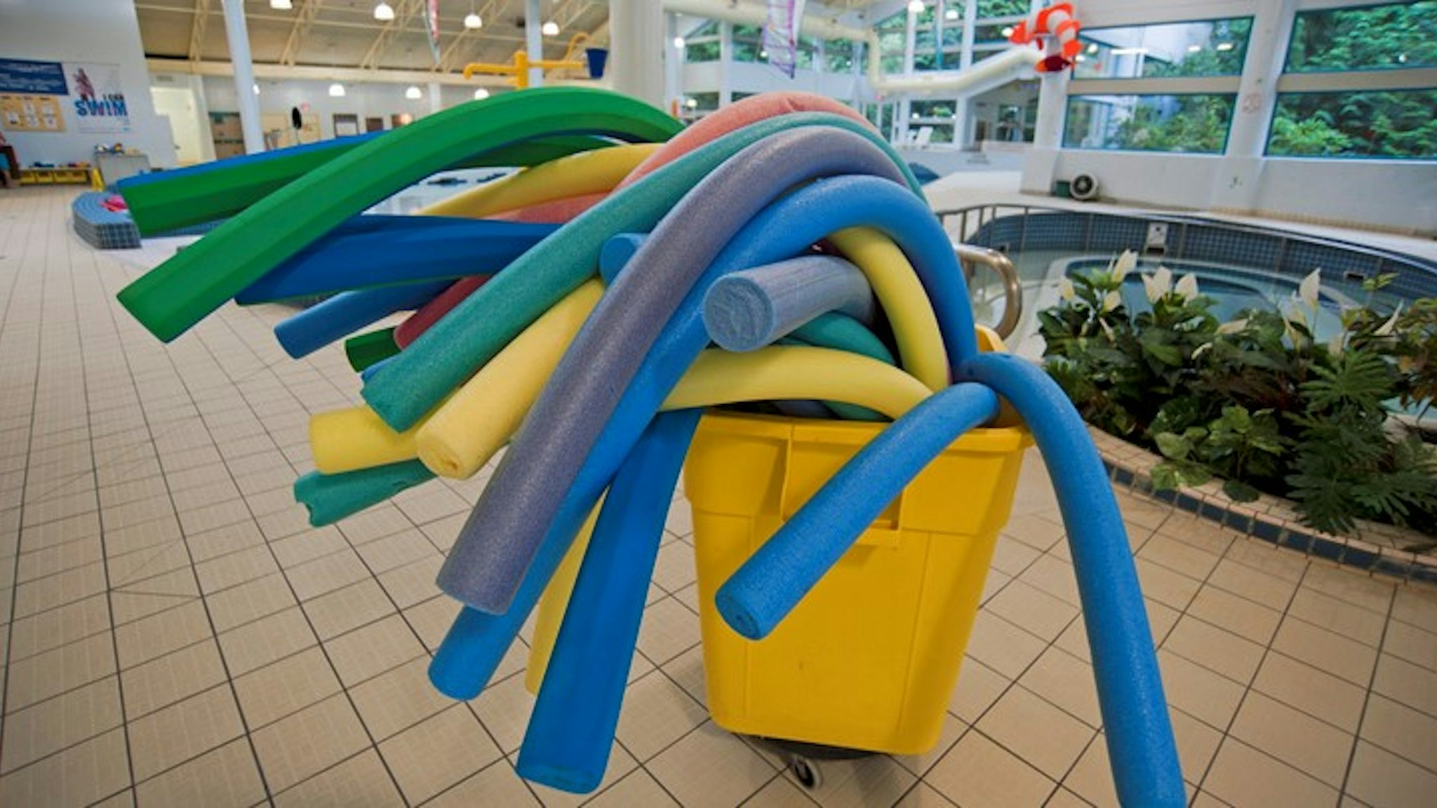 Water Noodles at a Public Swimming Pool