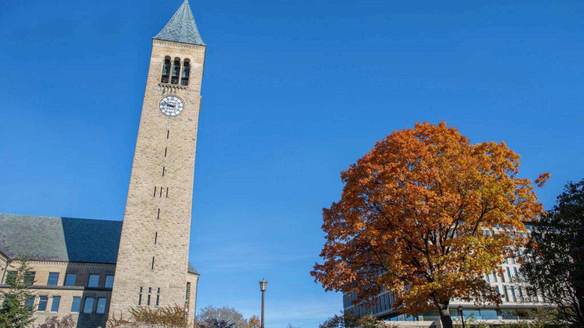 McGraw Tower, Cornell University, Ithaca, New York, USA .