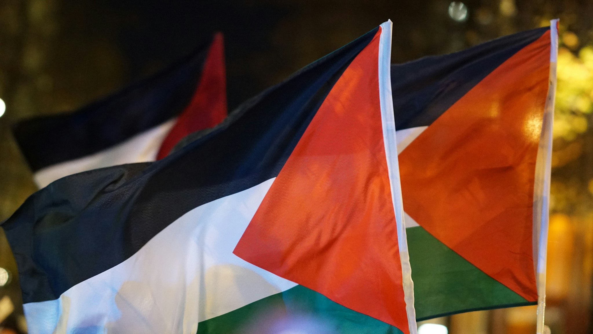 Close-Up Of Palestinian Flags At Night - stock photo