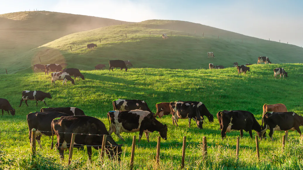Online Lending Platform Gave Millions In PPP Loans To Fake Farms With Ludicrous Names