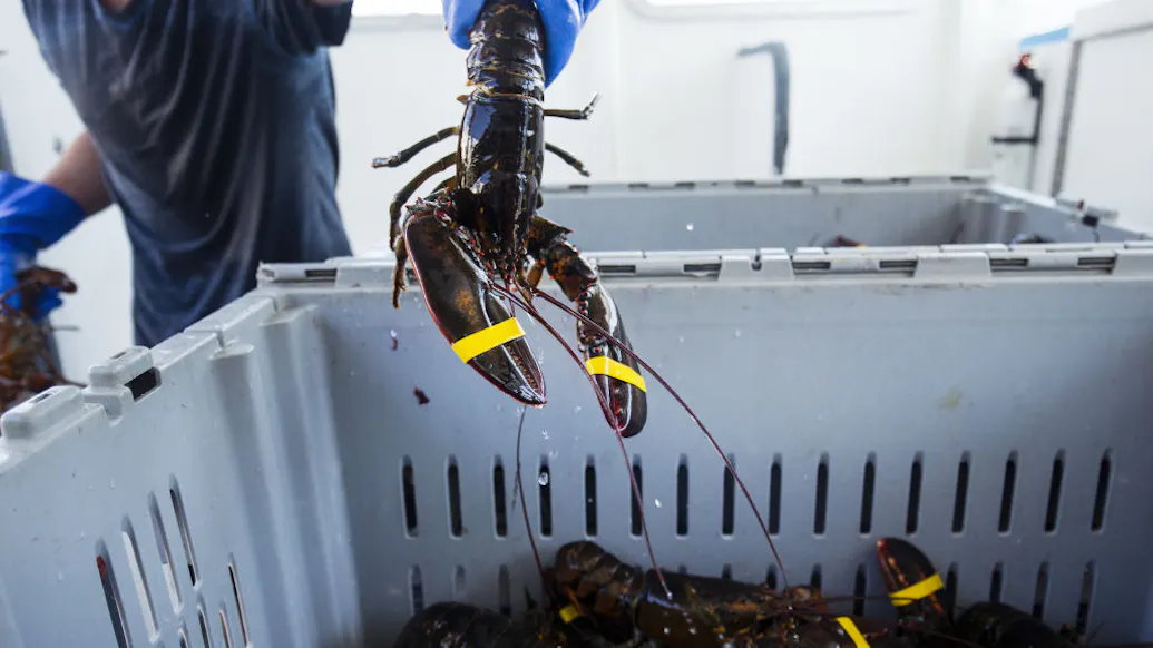 Fishing Industry Pushes Back On Biden Admin Mega Wind Project