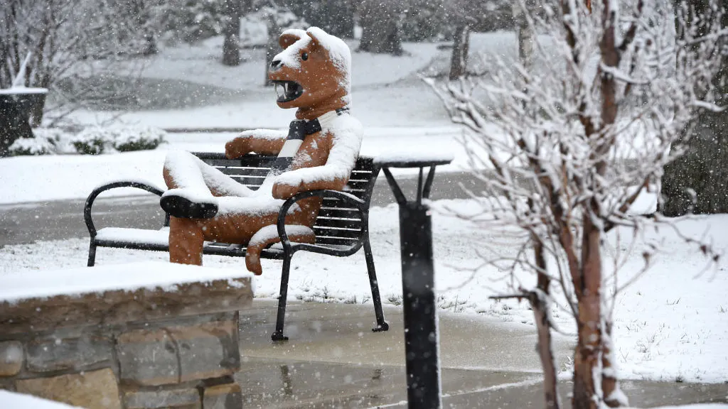 Penn State Nixes Labels Such As ‘Freshman,’ ‘Junior,’ ‘Senior,’ Citing Lack Of Gender Inclusivity