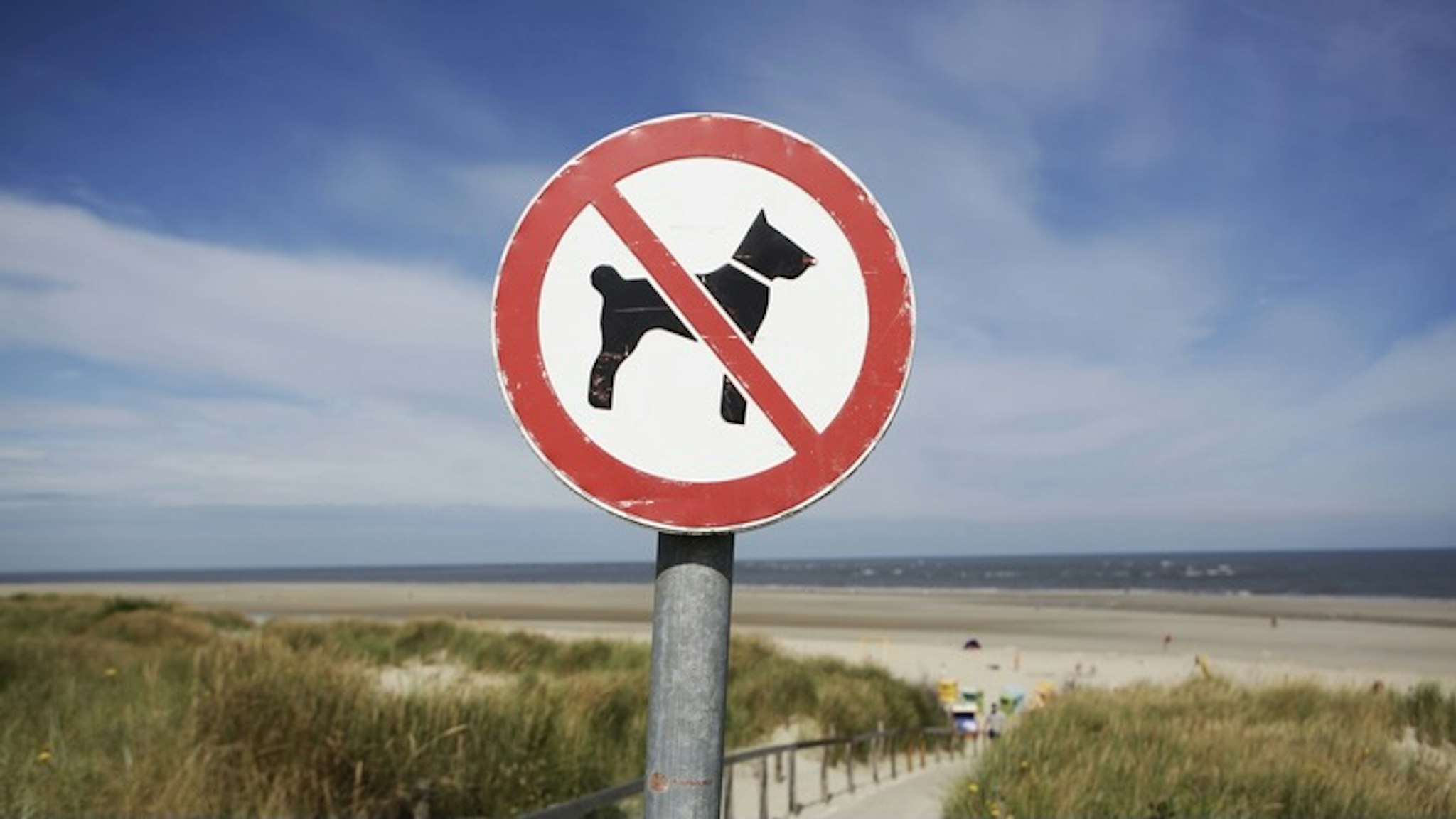 Germany, Lower Saxony, East Frisia, Langeoog, sign No dogs allowed - stock photo Westend61 via Getty Images
