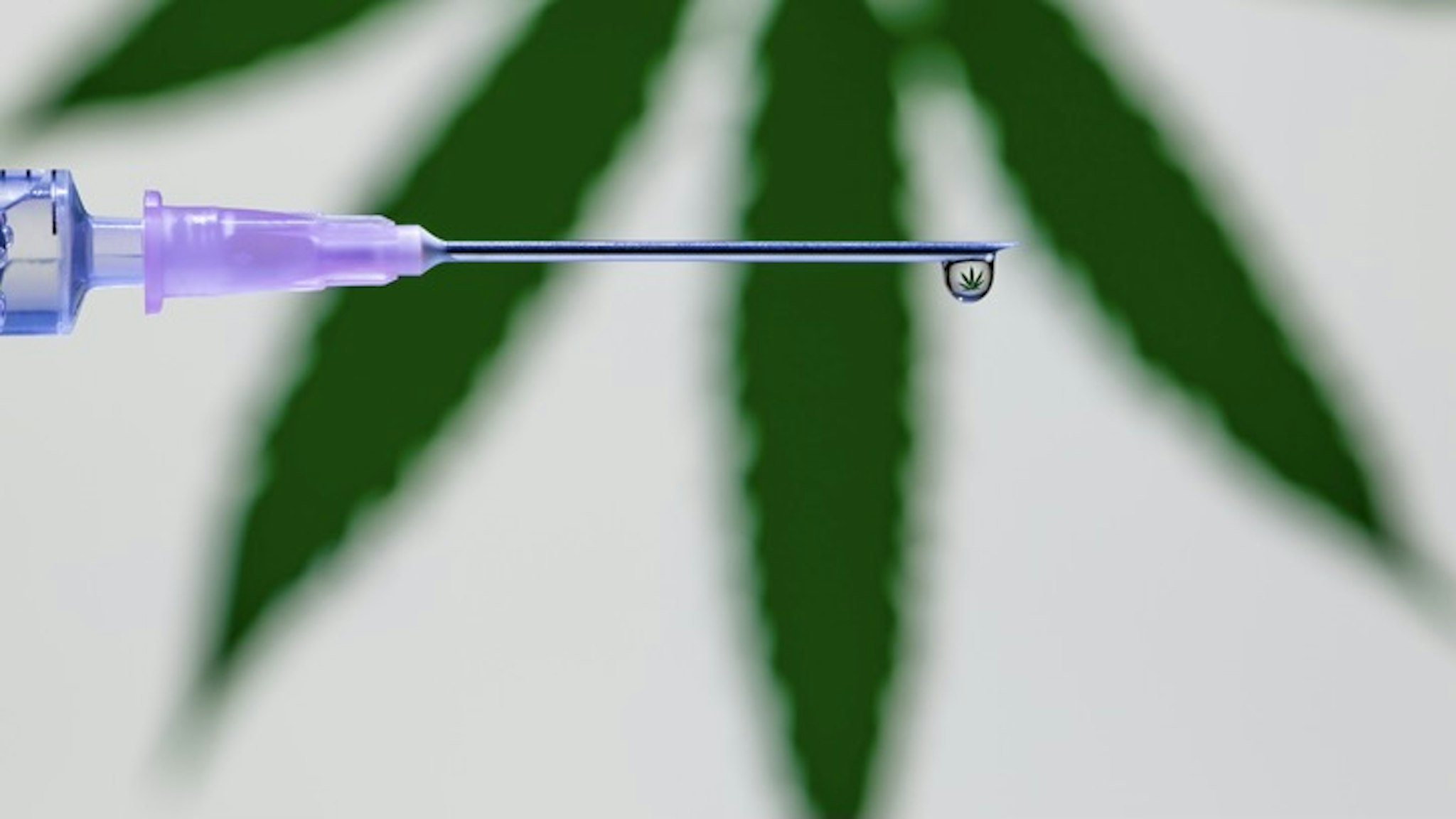 A droplet of vaccine at the tip of the needle and syringe reflecting the marijuana leaf - stock photo A droplet of vaccine at the tip of the needle and syringe reflecting the marijuana leaf Phichaklim1 via Getty Images