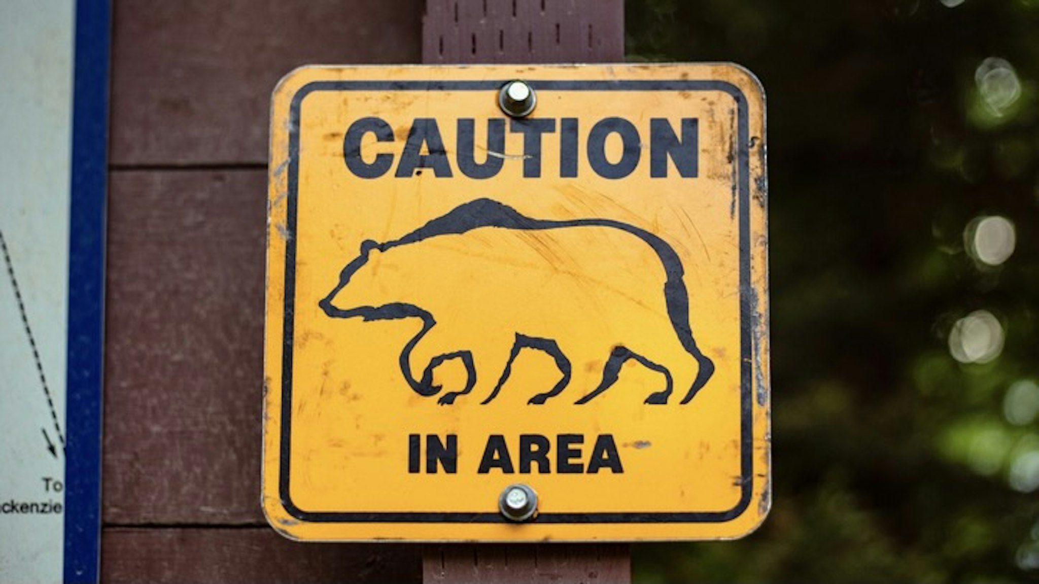 caution sign bear in area - stock photo Yellow warning sign of caution bear in area on park entrance at nature park Katie Wintersgill via Getty Images