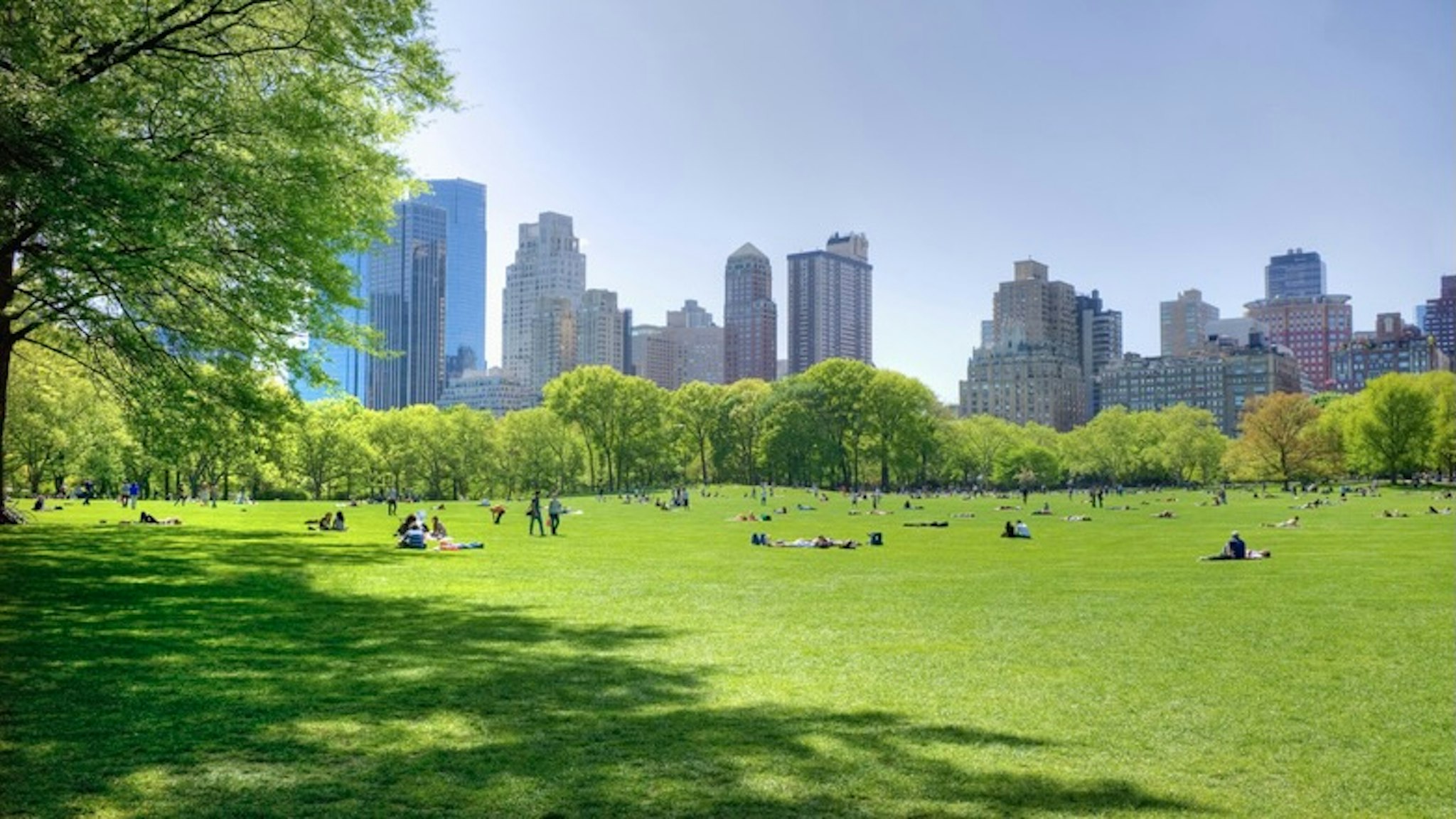 Great lawn in Central Park - stock photo Tetra Images via Getty Images
