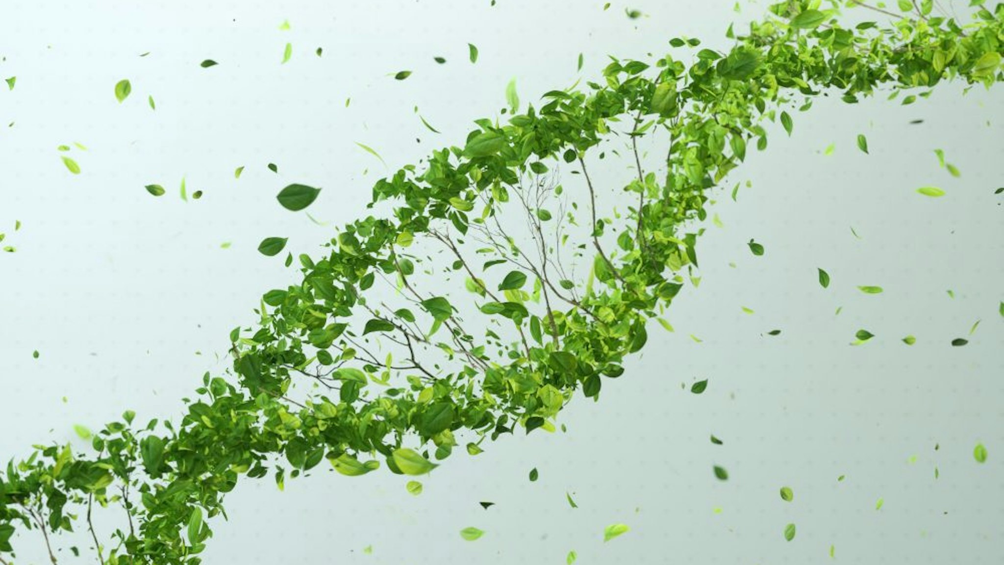 Digital generated image of DNA made out of green leaves on grey background