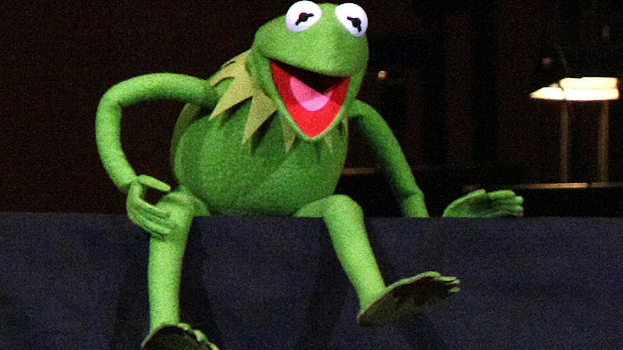 NEW YORK, NY - APRIL 14: Kermit the Frog performs during the The New York Pops Present "Jim Henson's Musical World" at Carnegie Hall on April 14, 2012 in New York City. (Photo by Paul Zimmerman/Getty Images)