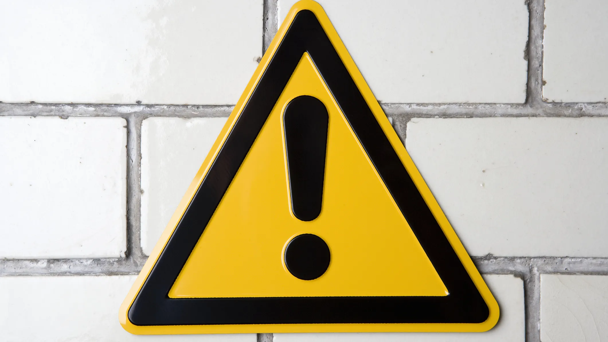 ‘Trigger Warnings’ Are Now ‘Triggering,’ ‘Violent’ Language, Brandeis University Says