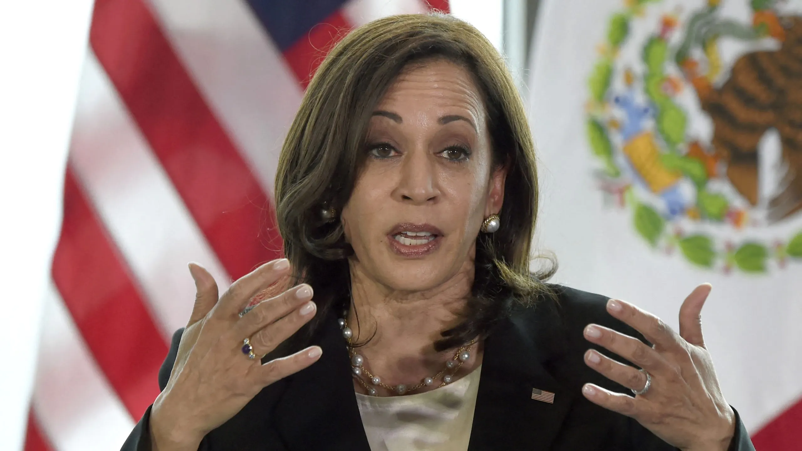 WATCH: Kamala Harris Fumbles Response To Question Of When She Will Visit Biden’s Crisis On Border